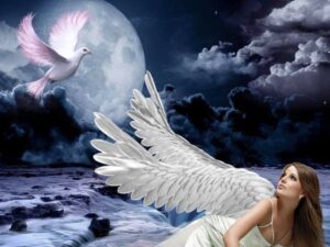 119949368_2759194304294832_3406714940001299970_n